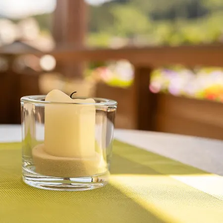 Nr 12 Haus Voglreiter Appartement Kaprun