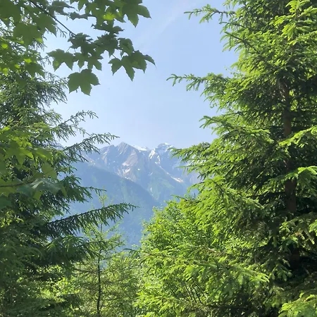 Appartement Nr 12 Haus Voglreiter