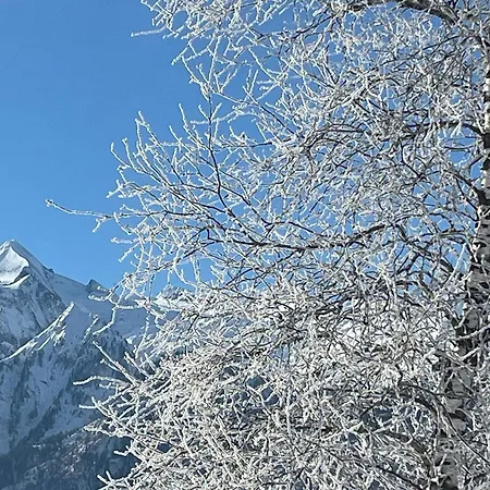 Nr 12 Haus Voglreiter Daire *