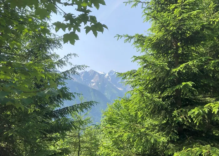 Apartamento Nr 12 Haus Voglreiter