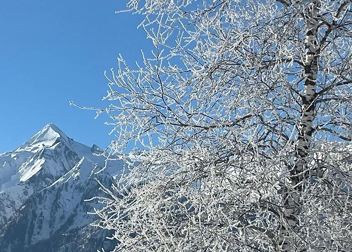 Nr 12 Haus Voglreiter Apartamento *